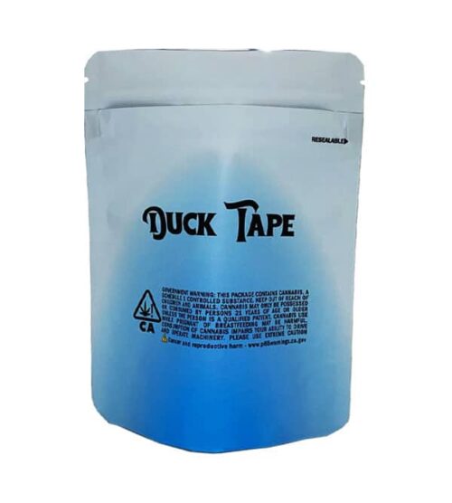 duck-tape-bag